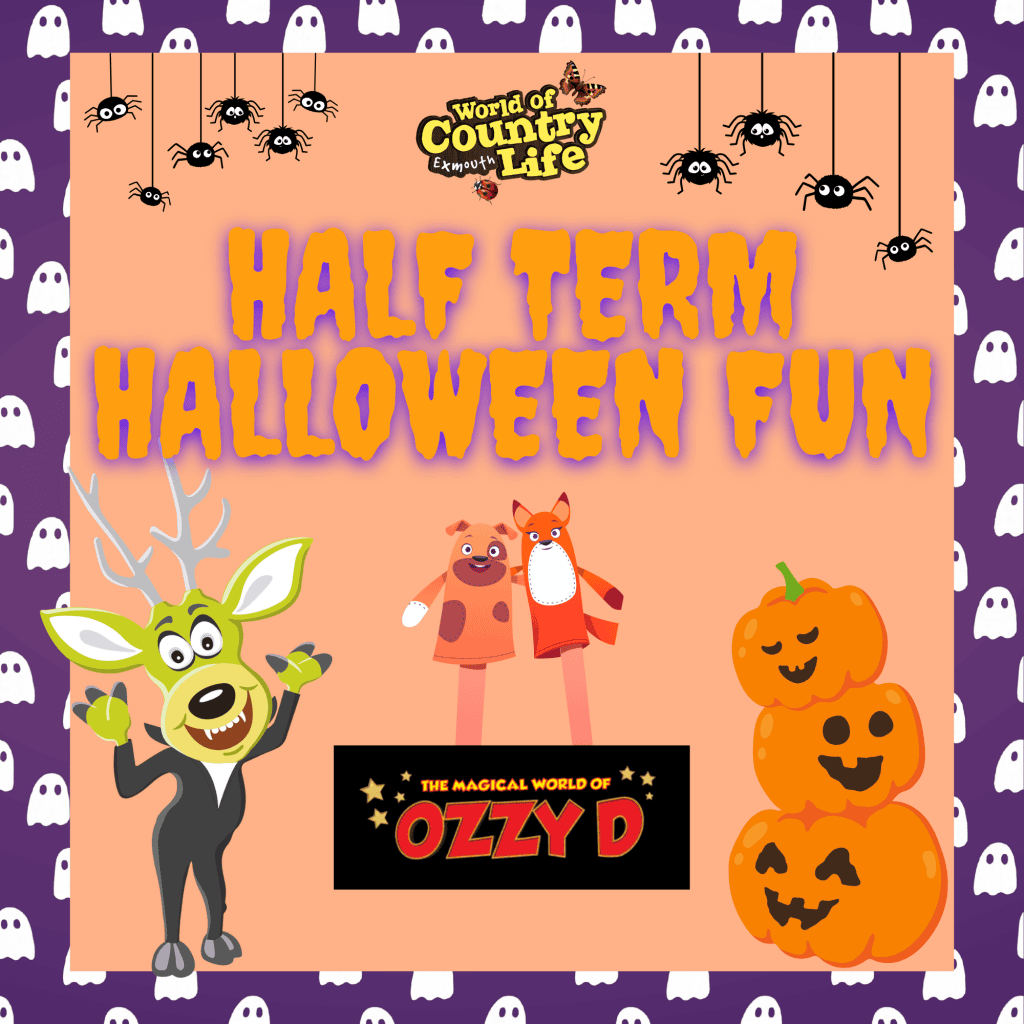 Halloween fun with Angus the deer
